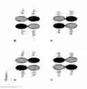 Fig. 09 - DUAL SPECIFICITY POLYPEPTIDE MOLECULE