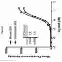 Fig. 07 - CXCR2 antibodies and uses thereof