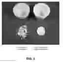 Fig. 04 - Preceramic resin formulations, ceramic materials comprising the preceramic resin formulations,and related articles and methods
