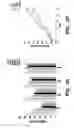 Fig. 07 - Compositions and methods for epithelial stem cell expansion and culture