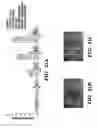 Fig. 40 - Compositions and methods for epithelial stem cell expansion and culture