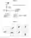 Fig. 03 - Augmentation of cell therapy efficacy including treatment with alpha 1,3 fucosyltransferase