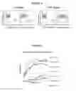 Fig. 04 - Augmentation of cell therapy efficacy including treatment with alpha 1,3 fucosyltransferase