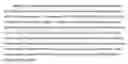 Fig. 02 - CELL REPROGRAMMING