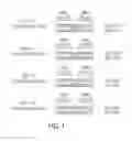 Fig. 02 - ENGINEERED MEGANUCLEASES WITH RECOGNITION SEQUENCES FOUND IN THE HUMAN BETA-2 MICROGLOBULIN GENE