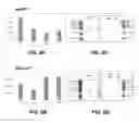 Fig. 06 - Method for immobilization of glucuronidase enzymes for the detection of products derived from glucuronide compounds