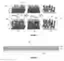 Fig. 02 - Low refractive index surface layers and related methods