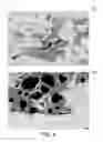 Fig. 07 - Determining a rock formation content