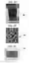 Fig. 05 - MODULAR LATENT HEAT THERMAL ENERGY STORAGE BUFFER SYSTEM
