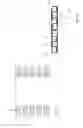 Fig. 07 - Folded conduit for heat exchanger applications