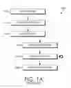 Fig. 02 - Multi-process access to a single-process resource