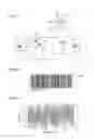 Fig. 02 - Optoelectronic code reader and method for reading optical codes