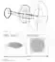 Fig. 05 - IMAGE SENSOR