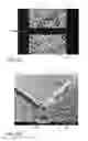 Fig. 08 - SOLAR CELL FABRICATION USING LASER PATTERNING OF ION-IMPLANTED ETCH-RESISTANT LAYERS AND THE RESULTING SOLAR CELLS