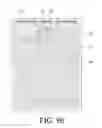 Fig. 12 - Lighting apparatus using organic light emitting diode for suppressing deterioration of lumincance in entire panel caused by short circuit and manufacturing method thereof