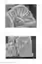 Fig. 02 - Precursor of positive electrode active material for secondary battery and positive electrode active material prepared using the same
