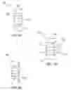 Fig. 03 - Two-shot knuckles for coupling electrically isolated sections of an electronic device and methods for making the same