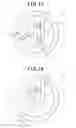 Fig. 08 - Spark plug