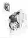 Fig. 08 - Efficient installation electrical hardware system and method of use