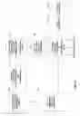 Fig. 09 - Stabilization and rolling shutter correction for omnidirectional image content