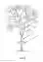 Fig. 09 - ADJUSTABLE TREE GUARD DEVICE