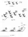 Fig. 14 - Cartridges for oral fluid analysis and methods of use