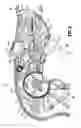 Fig. 07 - Surgical instrument including rotating end effector and rotation-limiting structure