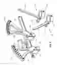 Fig. 08 - Spinal alignment frame