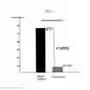 Fig. 05 - ARTIFICIAL TEAR COMPOSITIONS AND METHODS OF USE THEREOF