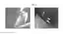 Fig. 06 - ARTIFICIAL TEAR COMPOSITIONS AND METHODS OF USE THEREOF