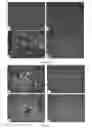 Fig. 05 - High drug loading pharmaceutical compositions