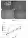Fig. 10 - High drug loading pharmaceutical compositions