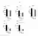 Fig. 04 - TOPICAL NANOEMULSION THERAPY FOR WOUNDS