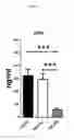 Fig. 05 - TOPICAL NANOEMULSION THERAPY FOR WOUNDS