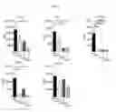Fig. 07 - TOPICAL NANOEMULSION THERAPY FOR WOUNDS