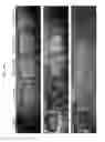 Fig. 22 - TOPICAL NANOEMULSION THERAPY FOR WOUNDS