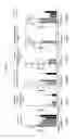 Fig. 31 - TOPICAL NANOEMULSION THERAPY FOR WOUNDS