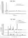 Fig. 08 - Process of preparing active pharmaceutical ingredient salts