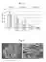 Fig. 12 - Process of preparing active pharmaceutical ingredient salts