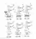 Fig. 28 - Tablets having discontinuous coated regions