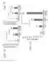 Fig. 10 - Use of decellularized extracellular matrix for encapsulating cells