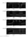 Fig. 07 - POLYNUCLEOTIDES ENCODING METHYLMALONYL-CoA MUTASE