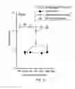 Fig. 07 - Treating Cochlear Synaptopathy
