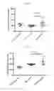 Fig. 44 - BETA-GLUCAN IMMUNOTHERAPIES AFFECTING THE IMMUNE MICROENVIRONMENT