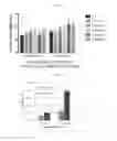 Fig. 46 - BETA-GLUCAN IMMUNOTHERAPIES AFFECTING THE IMMUNE MICROENVIRONMENT