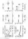 Fig. 41 - MICROBIOME RESPONSE TO AGENTS