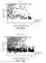 Fig. 22 - Compositions and methods for the treatment of type 1 diabetes