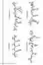 Fig. 07 - Compositions containing a pharmacophore with selectivity to diseased tissue and methods of making same