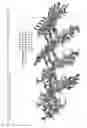 Fig. 09 - Compositions containing a pharmacophore with selectivity to diseased tissue and methods of making same