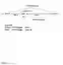Fig. 02 - Gene editing of deep intronic mutations